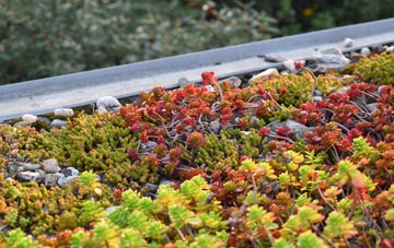 the cost of Cwm green roof installation