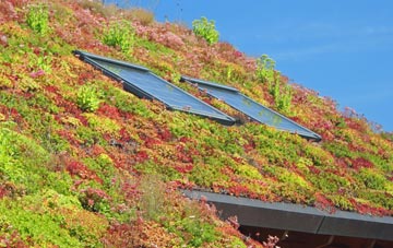 Cwm living roof systems
