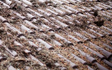 Cwm roof cleaning companies