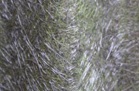 Cwm fibreglass roof work